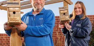 Housing developer teams up with Men’s Shed to create bird boxes