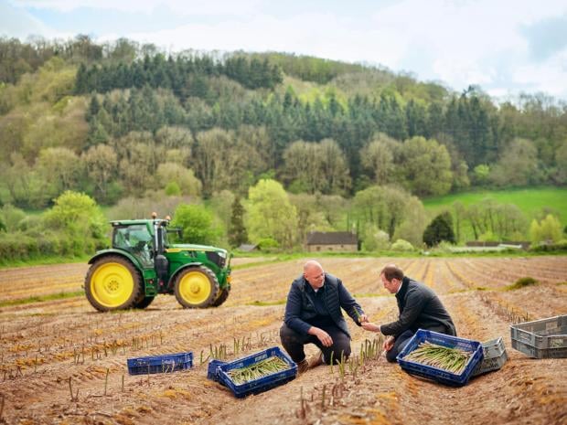 Tom Kerridge at Cobrey Farms in one of the M&S TV ads